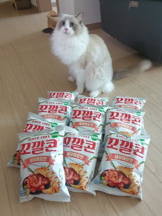 로크찡님이 올린 리뷰 사진 2