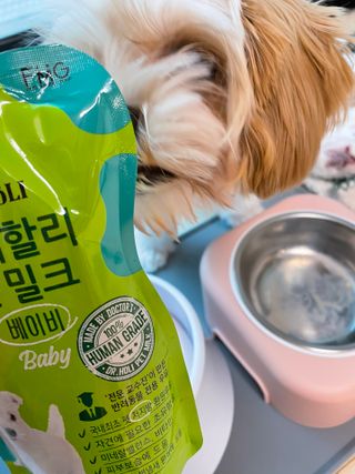 원땡잉님이 올린 리뷰 사진 2