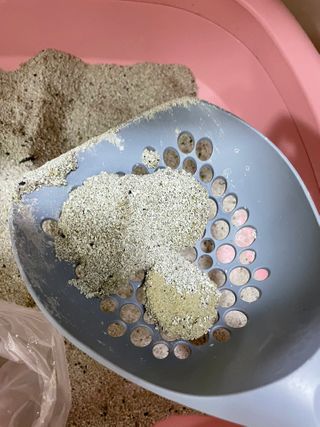 양집사님이 올린 리뷰 사진 3