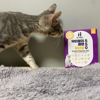 현님이 올린 리뷰 사진 1