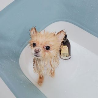 주원맘님이 올린 리뷰 사진 2