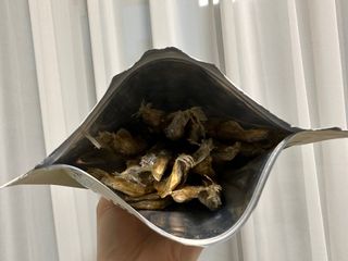 [펫시밀] 원물그대로 영양듬뿍 진공동결건조 치킨텐더100g, 열빙어트릿100g 강아지 고양이 간식 — 5점을 준 리뷰어가 2023년 5월 올린 사용 사진