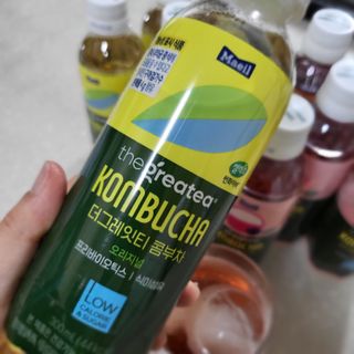 더그레잇티 콤부차 [매일유업] 더그레잇티 44kcal 콤부차 300ml *12개입 (오리지널 6개+베리리치 6개) — 5점을 준 리뷰어가 2023년 7월 올린 사용 사진
