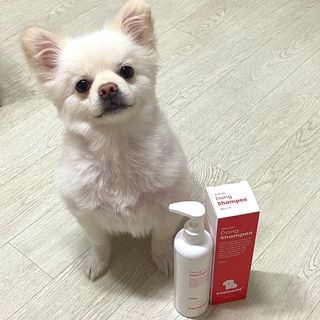지레씨님이 올린 리뷰 사진 1