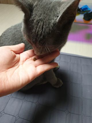 유지영님이 올린 리뷰 사진 3