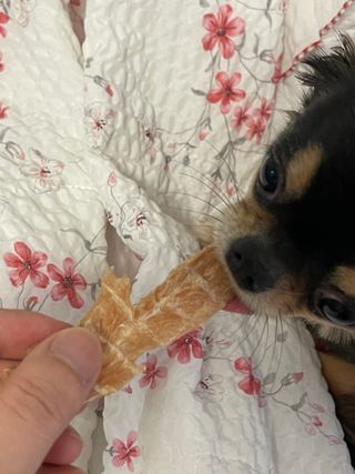 Tstory님이 올린 리뷰 사진 1