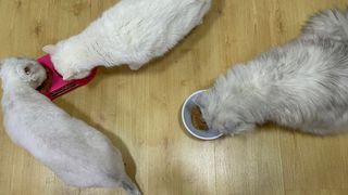 mojo님이 올린 리뷰 사진 3