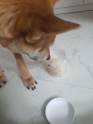 루비님이 올린 리뷰 사진 2