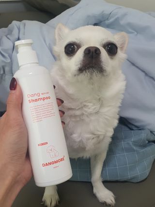 옙삐맘님이 올린 리뷰 사진 1