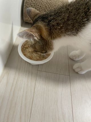uc9v0shedk님이 올린 리뷰 사진 3