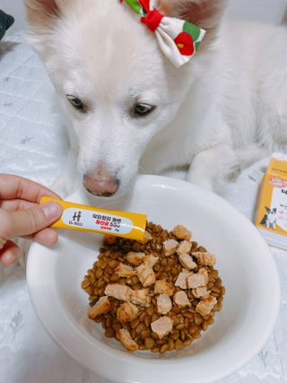 bori0924님이 올린 리뷰 사진 2