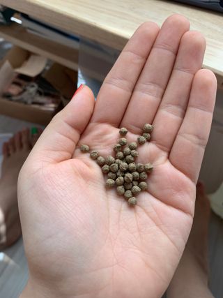 쑤앙님이 올린 리뷰 사진 3