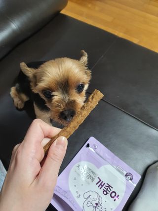 우링링님이 올린 리뷰 사진 4