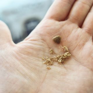 [푸디웜] 라포그 리얼인섹트 소프트키블 스킨 1KG — 5점을 준 리뷰어가 2022년 9월 올린 사용 사진