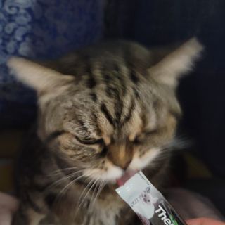 나초단맘님이 올린 리뷰 사진 2