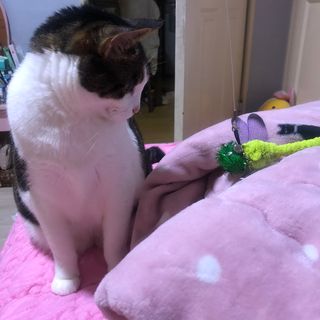c1bzzvd5mkg님이 올린 리뷰 사진 3