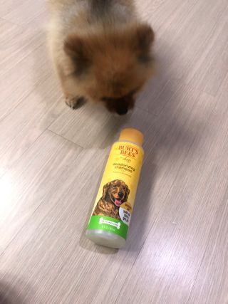 쭈야님이 올린 리뷰 사진 1