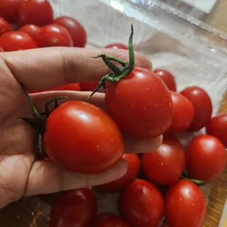 발랄써냐님이 올린 리뷰 사진 4