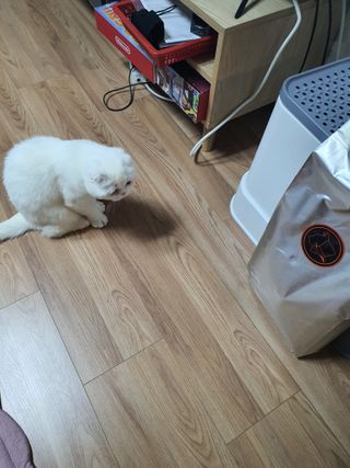 민써니써닝님이 올린 리뷰 사진 2