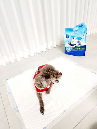 달콤오기님이 올린 리뷰 사진 3