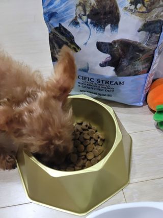 왕좌늼님이 올린 리뷰 사진 1