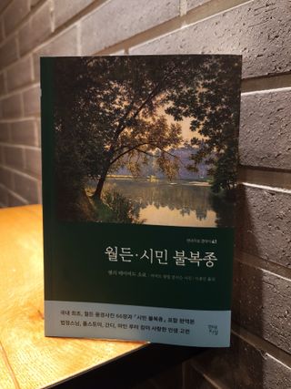 혜란님이 올린 리뷰 사진 4