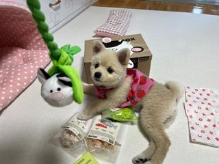 LeeMin님이 올린 리뷰 사진 2