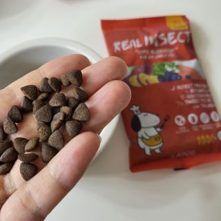 [푸디웜] 라포그  리얼인섹트 관절 저알러지 강아지 사료  1.2KG — 5점을 준 리뷰어가 2022년 8월 올린 사용 사진