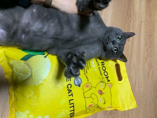 꾸루쿡님이 올린 리뷰 사진 1