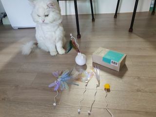 다미블리님이 올린 리뷰 사진 4