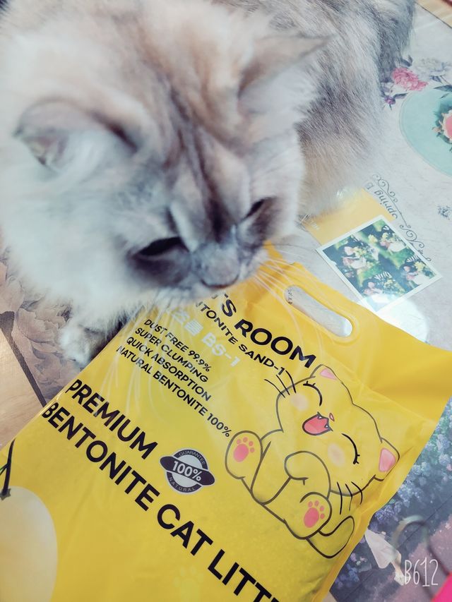 켓플렉스 캣츠룸BS-1 고양이모래 4kg 리뷰 사진