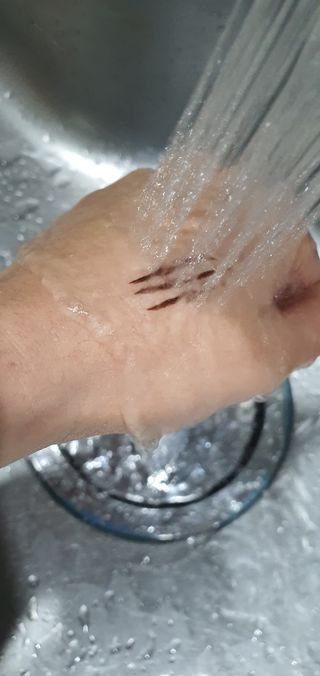 HarinKim님이 올린 리뷰 사진 3