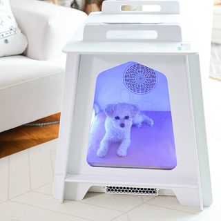 멍멍언니님이 올린 리뷰 사진 1