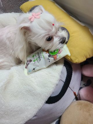 하람엄마님이 올린 리뷰 사진 2