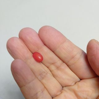 복도리님이 올린 리뷰 사진 4