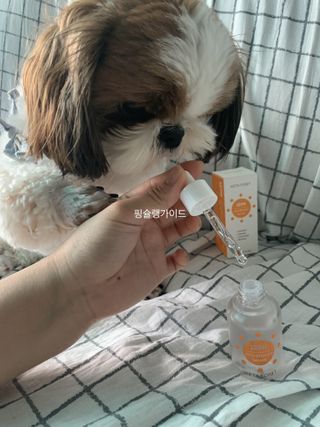 박코끼리님이 올린 리뷰 사진 1