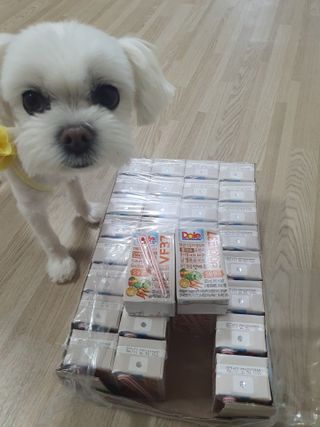뽀오오옹님이 올린 리뷰 사진 3