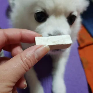 [펫시밀] 원물그대로 영양듬뿍 동결건조 왕북어트릿300g,왕치킨트릿400g,열빙어트릿300g 대용량 간식 — 4점을 준 리뷰어가 2023년 5월 올린 사용 사진