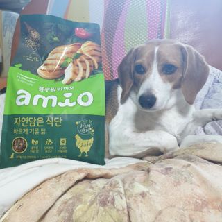beaglelove님이 올린 리뷰 사진 1