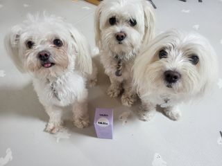 공팔리터님이 올린 리뷰 사진 1