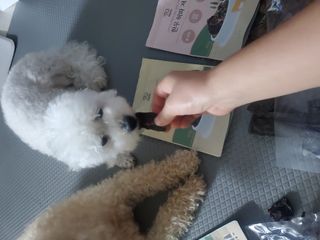모모맘님이 올린 리뷰 사진 2