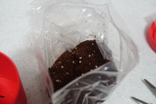 je님이 올린 리뷰 사진 3