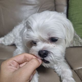 DG님이 올린 리뷰 사진 2