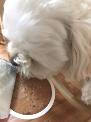 쭈또맘님이 올린 리뷰 사진 4