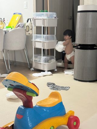 코랑이님이 올린 리뷰 사진 2