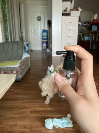 민트초코님이 올린 리뷰 사진 3