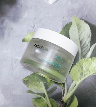 케이이이님이 올린 리뷰 사진 2