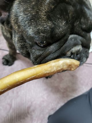 탱탱볼님이 올린 리뷰 사진 4