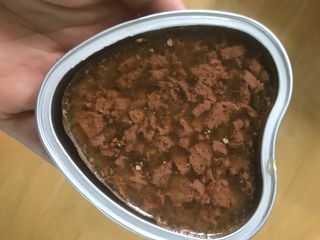 비타크래프트 조에시 하트캔 85g 강아지 습식캔 10캔 — 5점을 준 리뷰어가 2021년 9월 올린 사용 사진