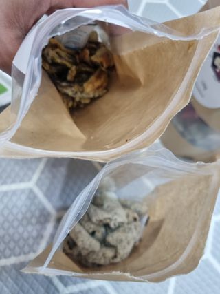 진쓰님이 올린 리뷰 사진 2
